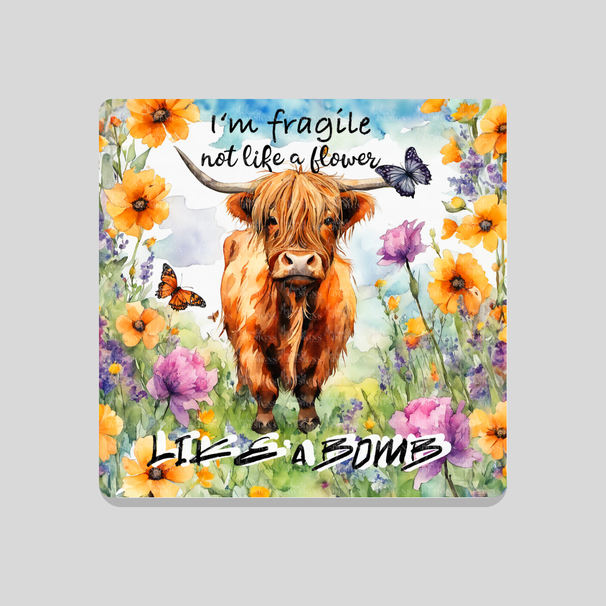 Fragile 'like a bomb' Highland Cow Coaster