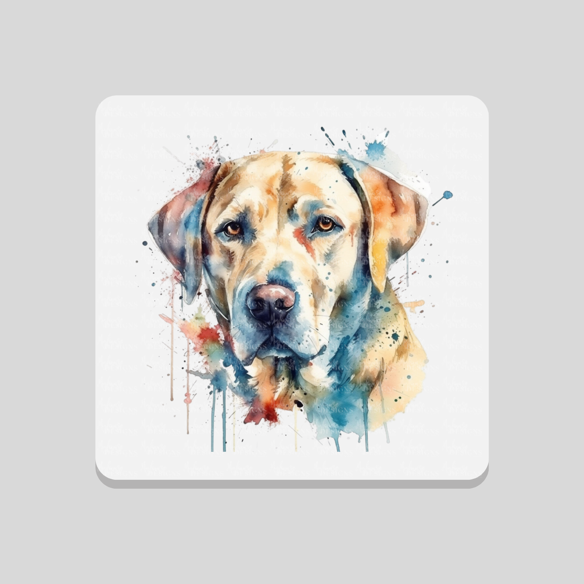Labrador Paint Splash Coaster