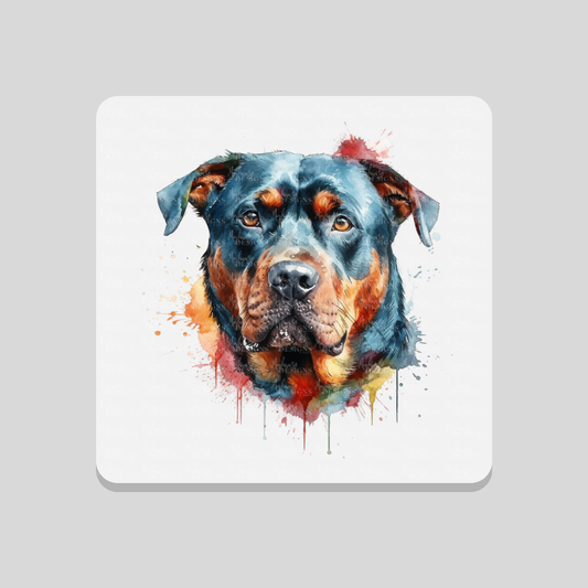 Rottweiler Paint Splash Coaster