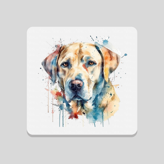Labrador Paint Splash Coaster