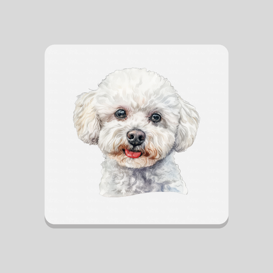 Maltese Dog Coaster