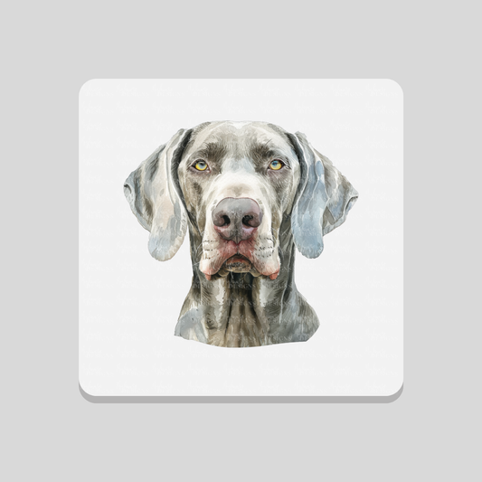 Weimaraner Coaster