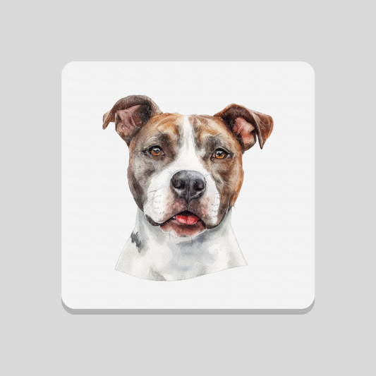 Staffordshire Bull Terrier Brown and White Coaster