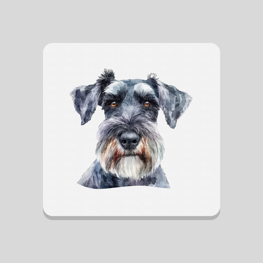 Schnauzer Coaster