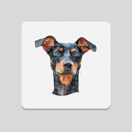 Doberman Pinscher Coaster