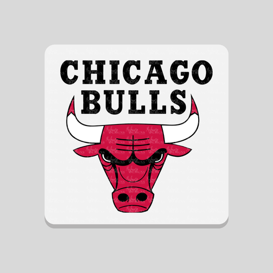 Chicago Bulls Coaster
