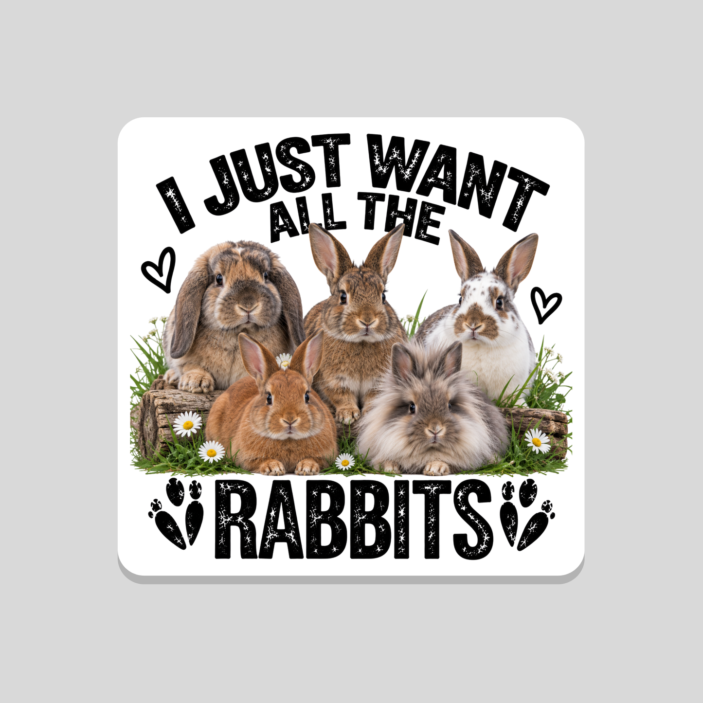 I Just Want All the Rabbits Coaster