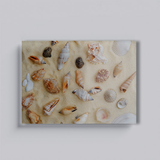 Sea Shells Glass Board